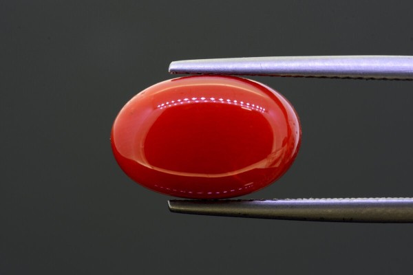 6.47 cts Natural Coral (Moonga)