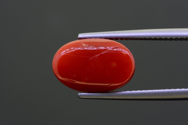 6.47 cts Natural Coral (Moonga)