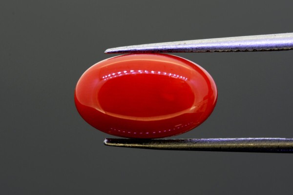 5.67 cts Natural Coral (Moonga)
