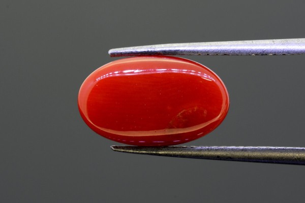 5.67 cts Natural Coral (Moonga)