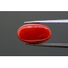 5.67 cts Natural Coral (Moonga)