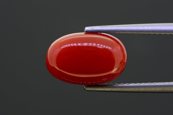 5.57 cts Natural Coral (Moonga)