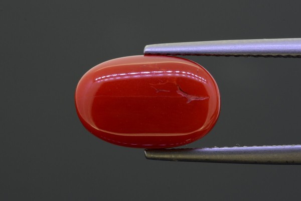 5.57 cts Natural Coral (Moonga)