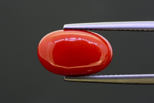 4.94 cts Natural Coral (Moonga)
