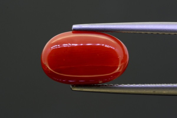 4.94 cts Natural Coral (Moonga)