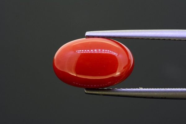 5.64 cts Natural Coral (Moonga)