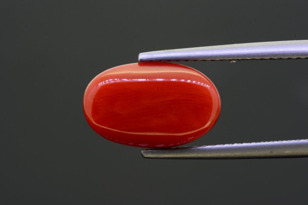 5.64 cts Natural Coral (Moonga)