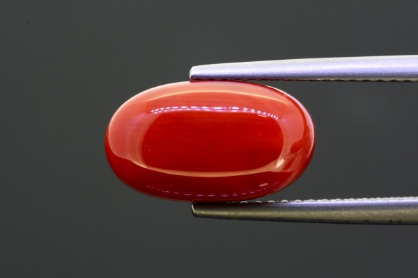 5.23 cts Natural Coral (Moonga)