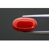 5.23 cts Natural Coral (Moonga)