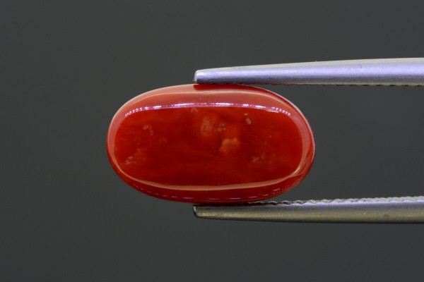 5.23 cts Natural Coral (Moonga)