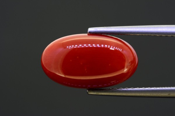 5.9 cts Natural Coral (Moonga)