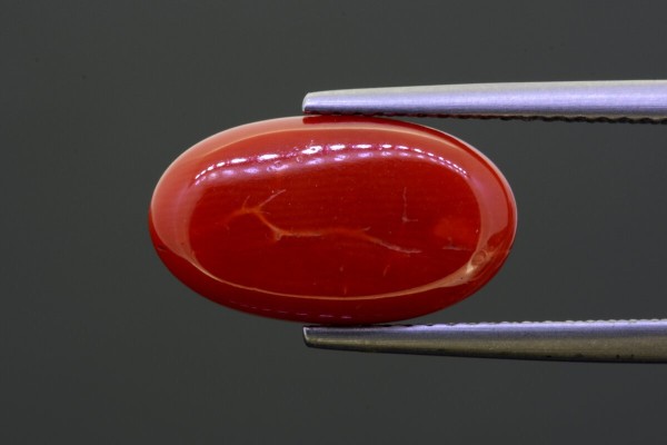 5.9 cts Natural Coral (Moonga)
