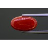 5.9 cts Natural Coral (Moonga)