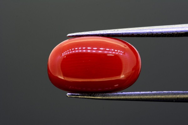 6.66 cts Natural Coral (Moonga)