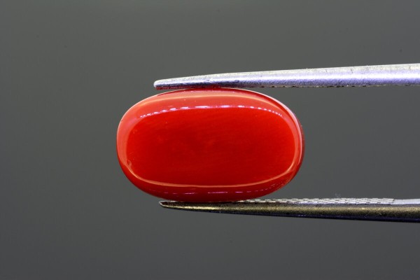 6.66 cts Natural Coral (Moonga)