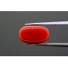 6.66 cts Natural Coral (Moonga)