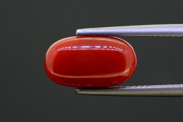 5 cts Natural Coral (Moonga)