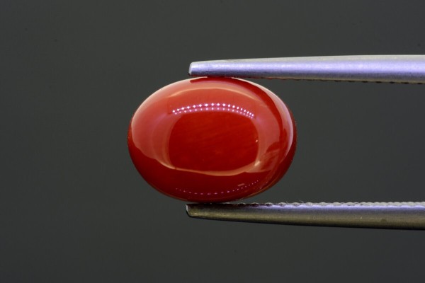 4.43 cts Natural Coral (Moonga)