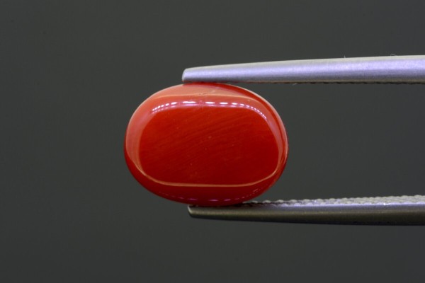 4.43 cts Natural Coral (Moonga)