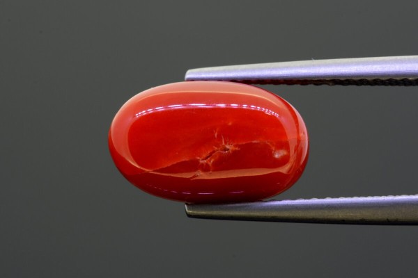 5.12 cts Natural Coral (Moonga)