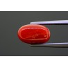5.12 cts Natural Coral (Moonga)