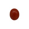5.14 cts Natural Coral (Moonga)