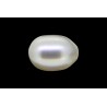 2.7 cts Cultured Pearl (Moti)