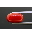 6.53 cts Natural Coral (Moonga)
