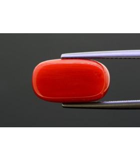 7.94 cts Natural Coral - Moonga (SKU:90141751)