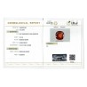 IIGJ Research & Laboratories | GJEPC Report for 12.23 cts Natural Hessonite Garnet (Gomedh)