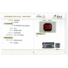 IIGJ Research & Laboratories | GJEPC Report for 8.54 cts Natural Hessonite Garnet (Gomedh)