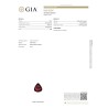 Gemological Institute of America Report for 3.06 cts Unheated Natural Ruby (Manikya)