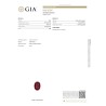 Gemological Institute of America Report for 3.58 cts Unheated Natural Ruby (Manikya)