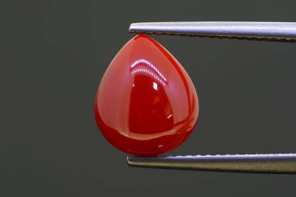 3.56 cts Natural Coral (Moonga)