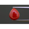 3.56 cts Natural Coral (Moonga)