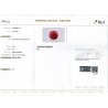 IIGJ Research & Laboratories | GJEPC Report for 8.74 cts Natural Coral (Moonga)