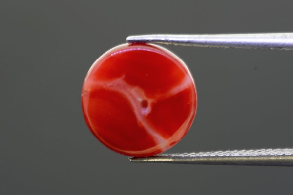 6.76 cts Natural Coral (Moonga)
