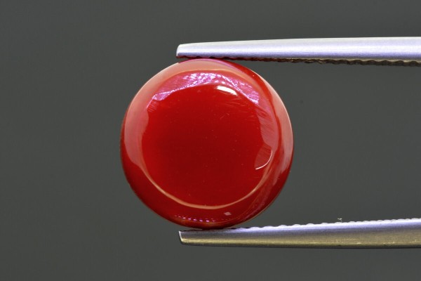 6.79 cts Natural Coral (Moonga)