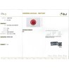 IIGJ Research & Laboratories | GJEPC Report for 6.79 cts Natural Coral (Moonga)