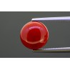 3.14 cts Natural Coral (Moonga)