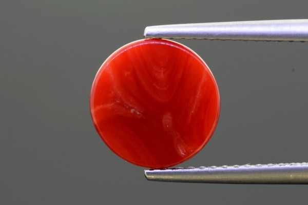 3.14 cts Natural Coral (Moonga)