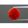 3.14 cts Natural Coral (Moonga)