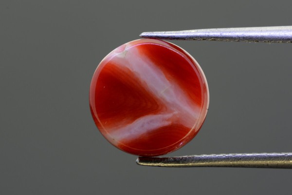 3.93 cts Natural Coral (Moonga)