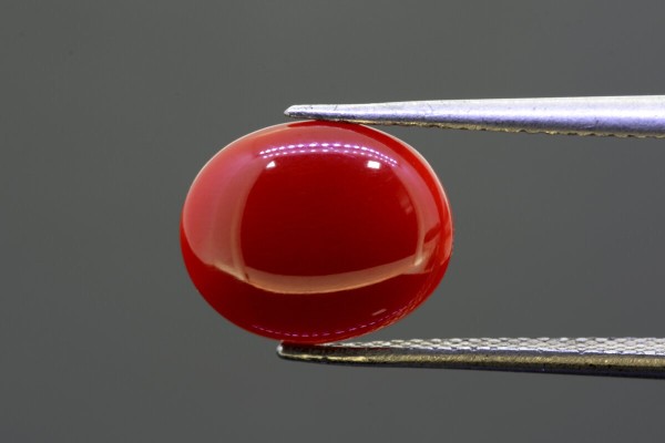 2.82 cts Natural Coral (Moonga)