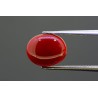 2.82 cts Natural Coral (Moonga)