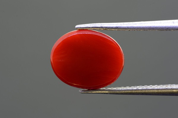 2.82 cts Natural Coral (Moonga)