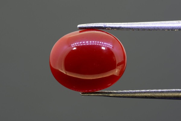 3.31 cts Natural Coral (Moonga)