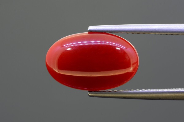 3.78 cts Natural Coral (Moonga)