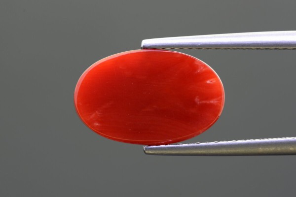 3.78 cts Natural Coral (Moonga)