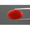 3.78 cts Natural Coral (Moonga)